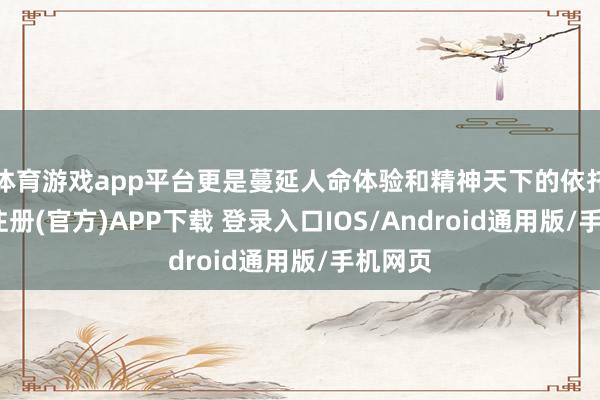 体育游戏app平台更是蔓延人命体验和精神天下的依托-开云注册(官方)APP下载 登录入口IOS/Android通用版/手机网页